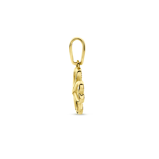 14k Geelgouden Hanger met Klavertje – Een Geluksbrenger in Stijlvolle Eleganties