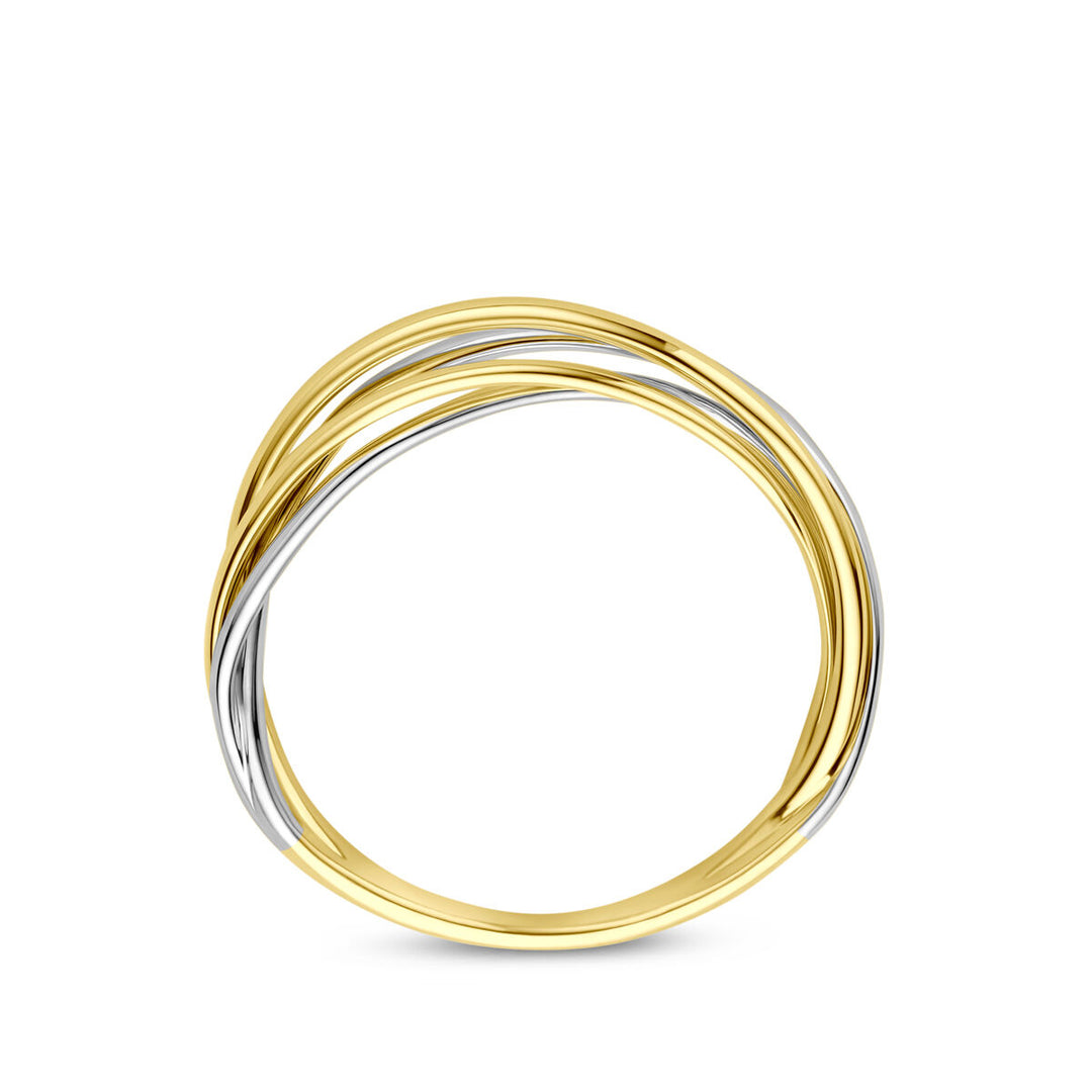14k Bicolor Geel- en Witgouden Ring