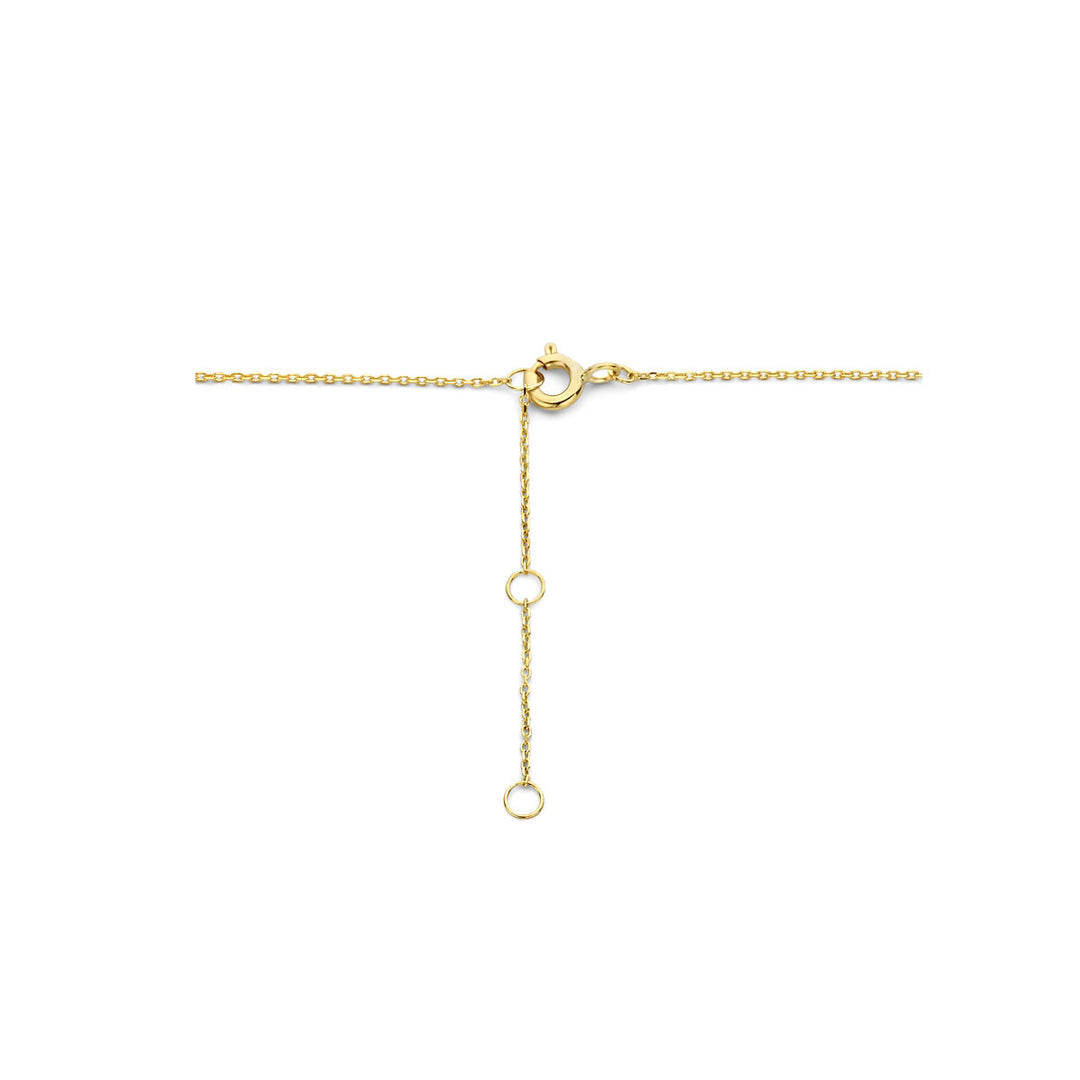14k Geelgouden Collier met Klavertje Vier – Verstelbaar 40-44 cm