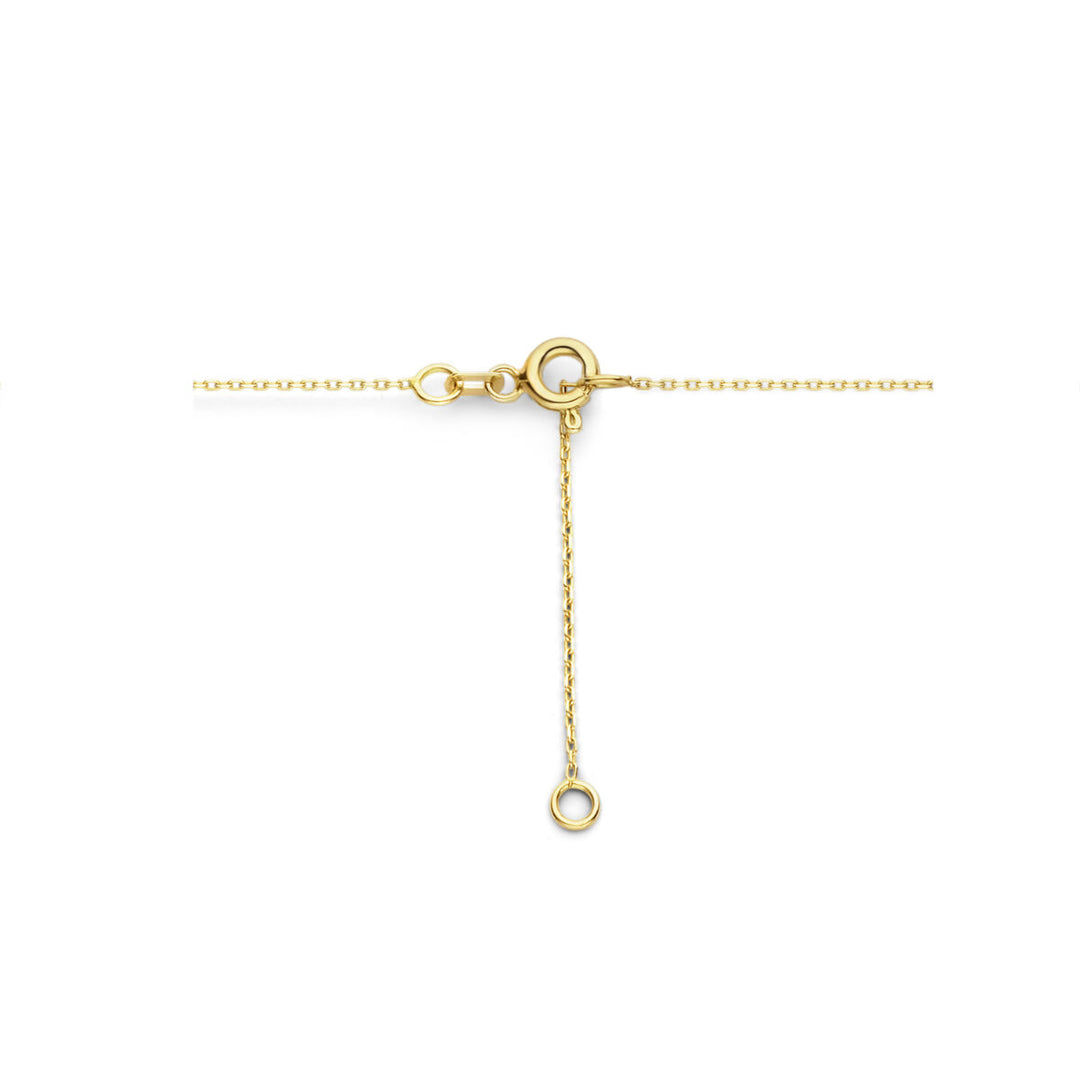 14k Geelgouden Collier met Klavertje Vier – Verstelbaar 42-45 cm