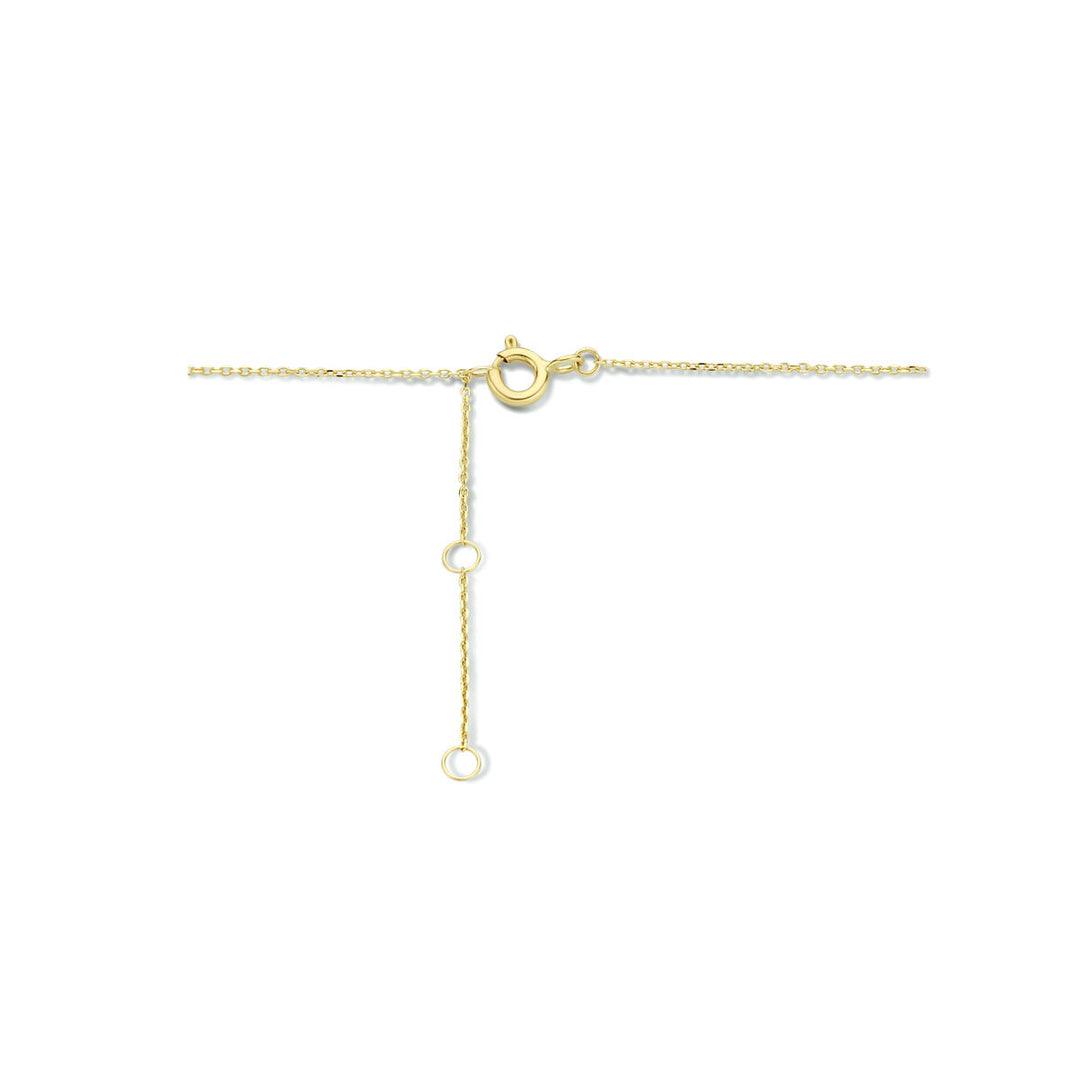 14k Geelgouden Collier met Twee Hartjes – Verstelbaar 40-44 cm