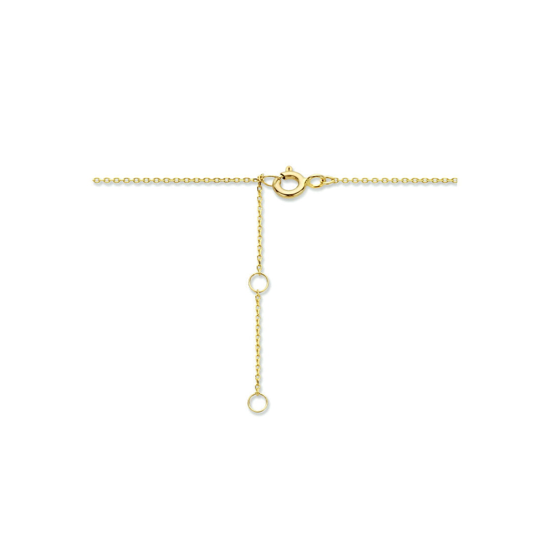 14k Geelgouden Collier met Twee Rondjes – Verstelbaar 40-44 cm
