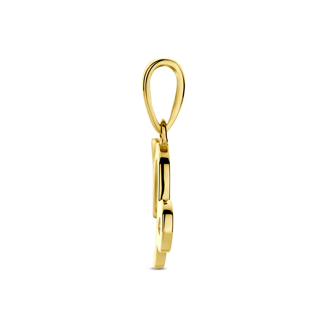 14k Geelgouden Hanger Sterrenbeeld Steenbok – Per Stuk