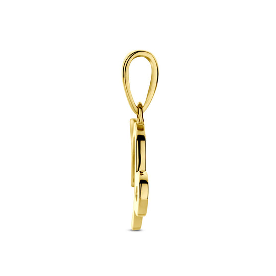 14k Geelgouden Hanger Sterrenbeeld Steenbok – Per Stuk