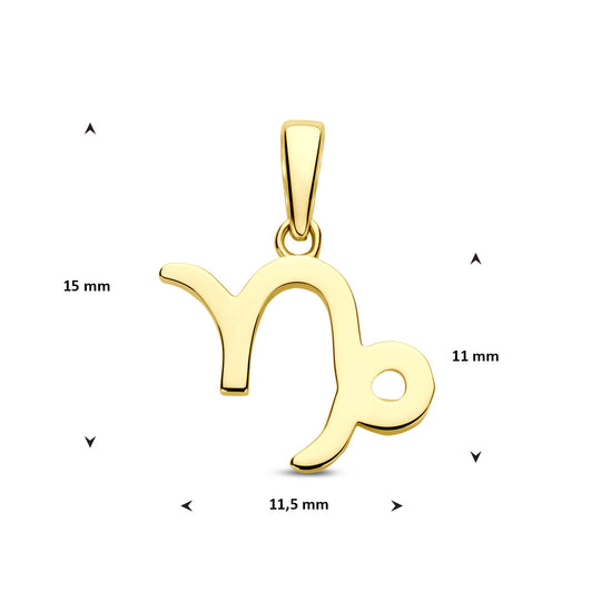 14k Geelgouden Hanger Sterrenbeeld Steenbok – Per Stuk