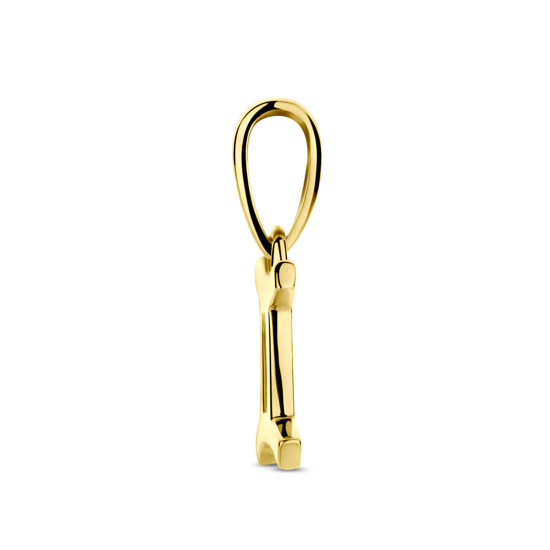 14k Geelgouden Hanger Sterrenbeeld Tweeling – Per Stuk