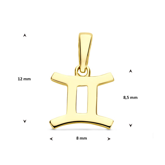 14k Geelgouden Hanger Sterrenbeeld Tweeling – Per Stuk