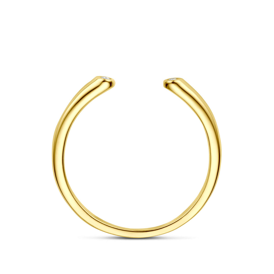 14k Geelgouden Ring met Diamant 0.01ct
