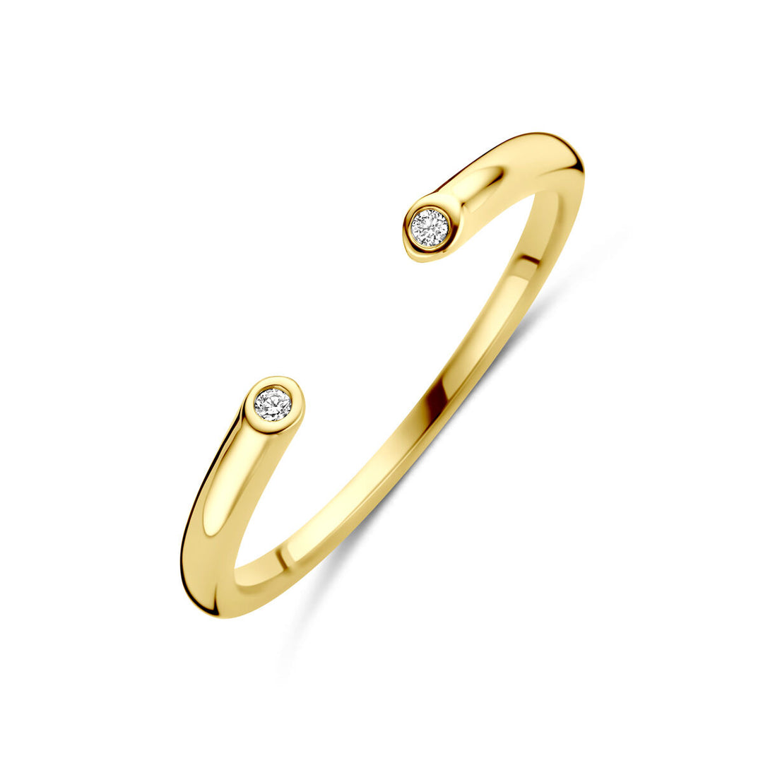 14k Geelgouden Ring met Diamant 0.01ct