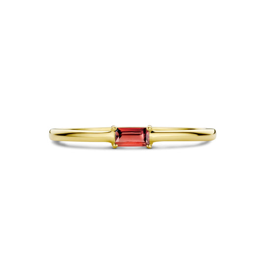 14k Geelgouden Ring met Granaat – Geboortesteen Januari 2,5mm