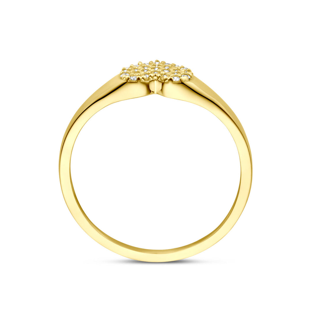14k Geelgouden Ring met Hart van Zirkonia