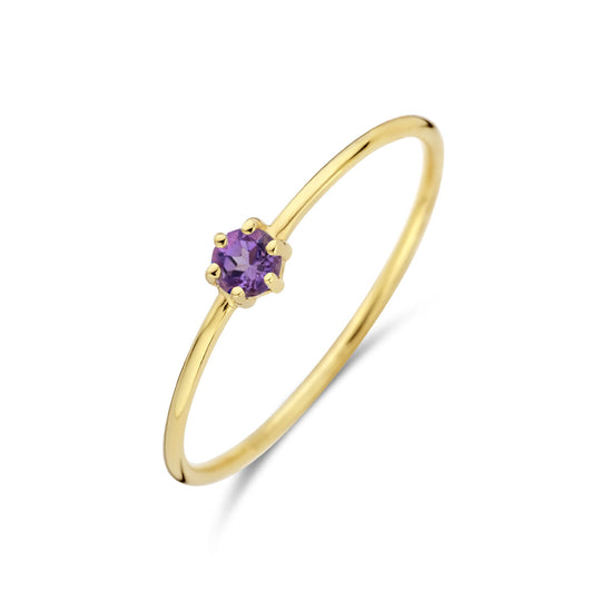 14k Geelgouden Ring met Amethist – Geboortesteen Februari, 4mm
