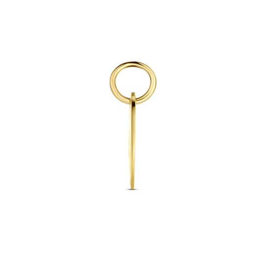 14K Geelgouden Graveerhanger – Tijdloze Elegantie met een Persoonlijke Touch