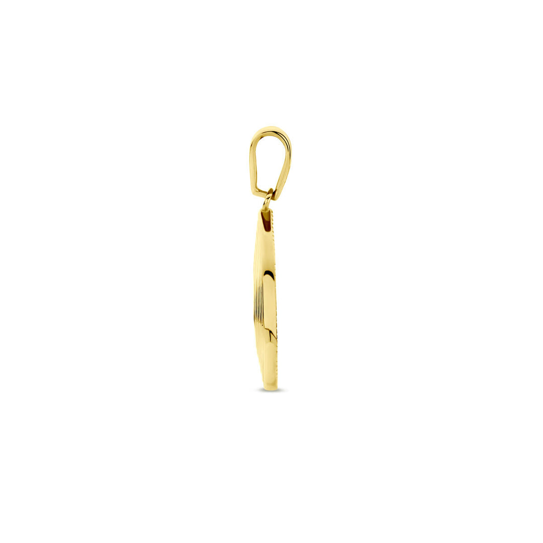 14k Geelgouden Hanger met Zirkonia – Een Stralend Sieraad voor Elke Gelegenheid