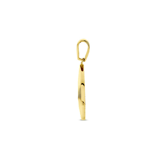 14k Geelgouden Hanger met Zirkonia – Een Stralend Sieraad voor Elke Gelegenheid
