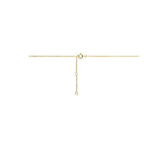 14k Geelkleurig Collier met Hartje – Verstelbare Lengte (41-45cm)