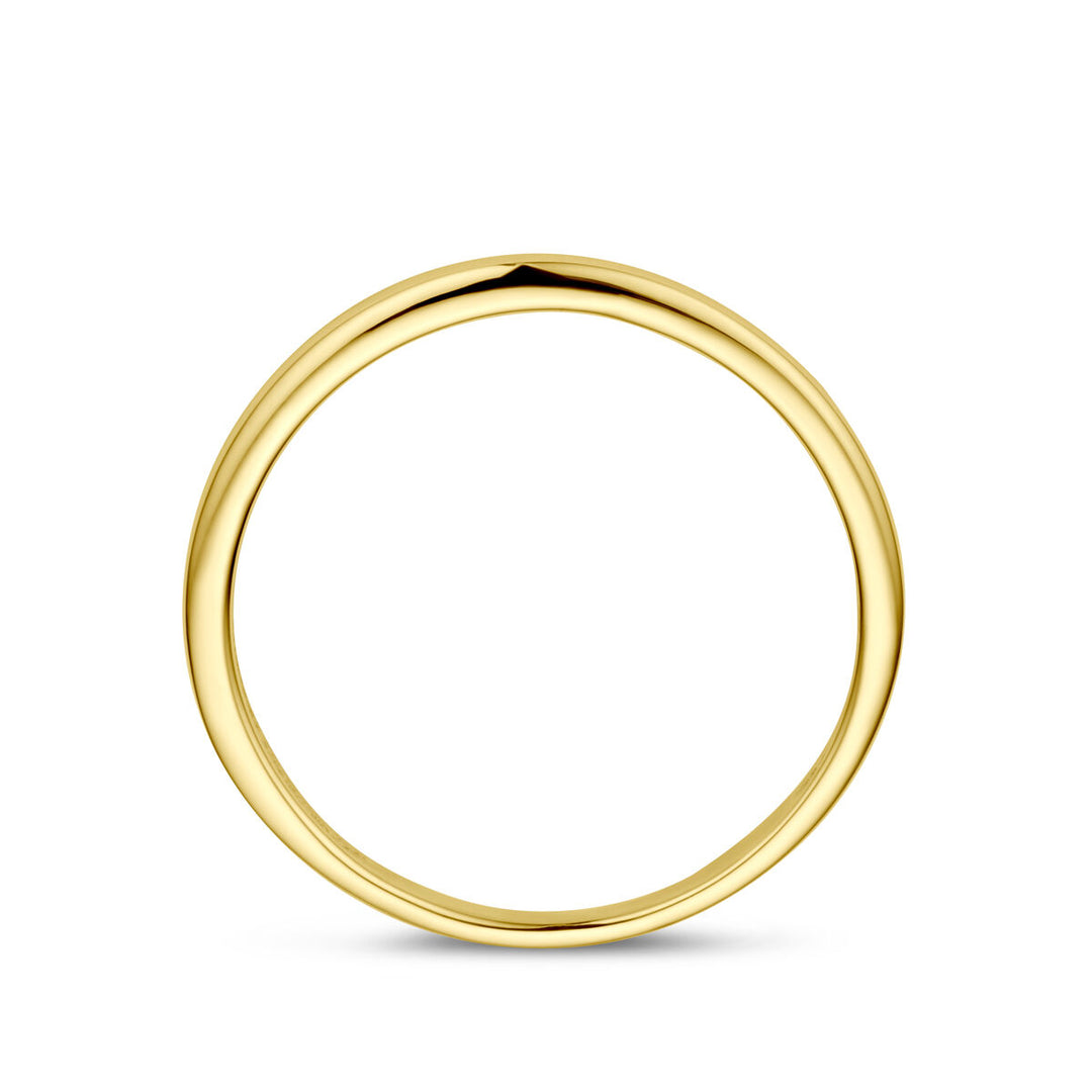 Stijlvolle 14k Geelgouden Ring - Breedte 1.5 mm