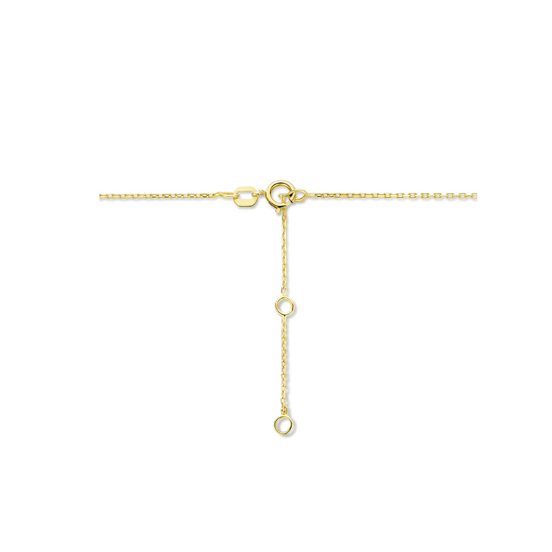 14K Geelgouden Graveercollier November Zirkonia Geboortesteen 45-49cm