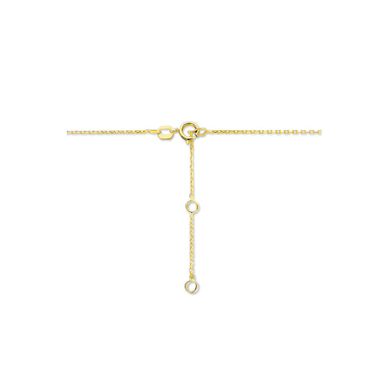 14K Geelgouden Graveercollier November Zirkonia Geboortesteen 45-49cm