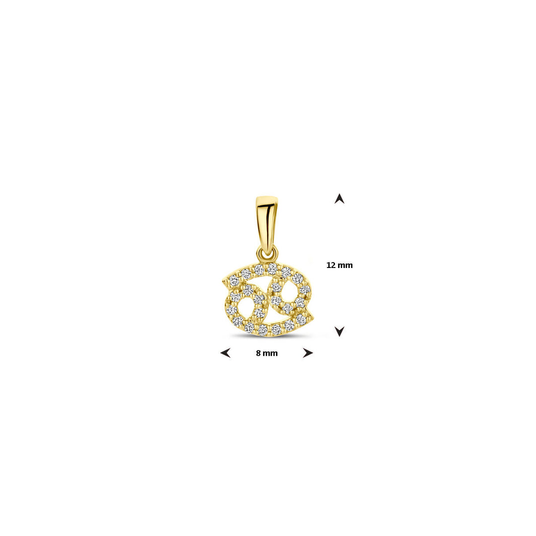 14k Geelgouden Hanger Sterrenbeeld Kreeft met Diamant H SI