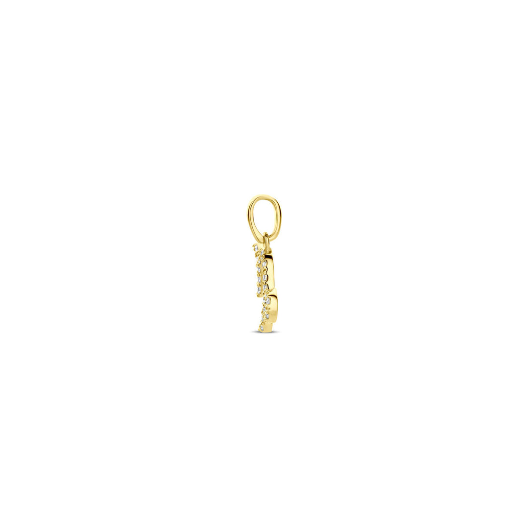 14k Geelgouden Hanger Sterrenbeeld Steenbok met Diamant H SI