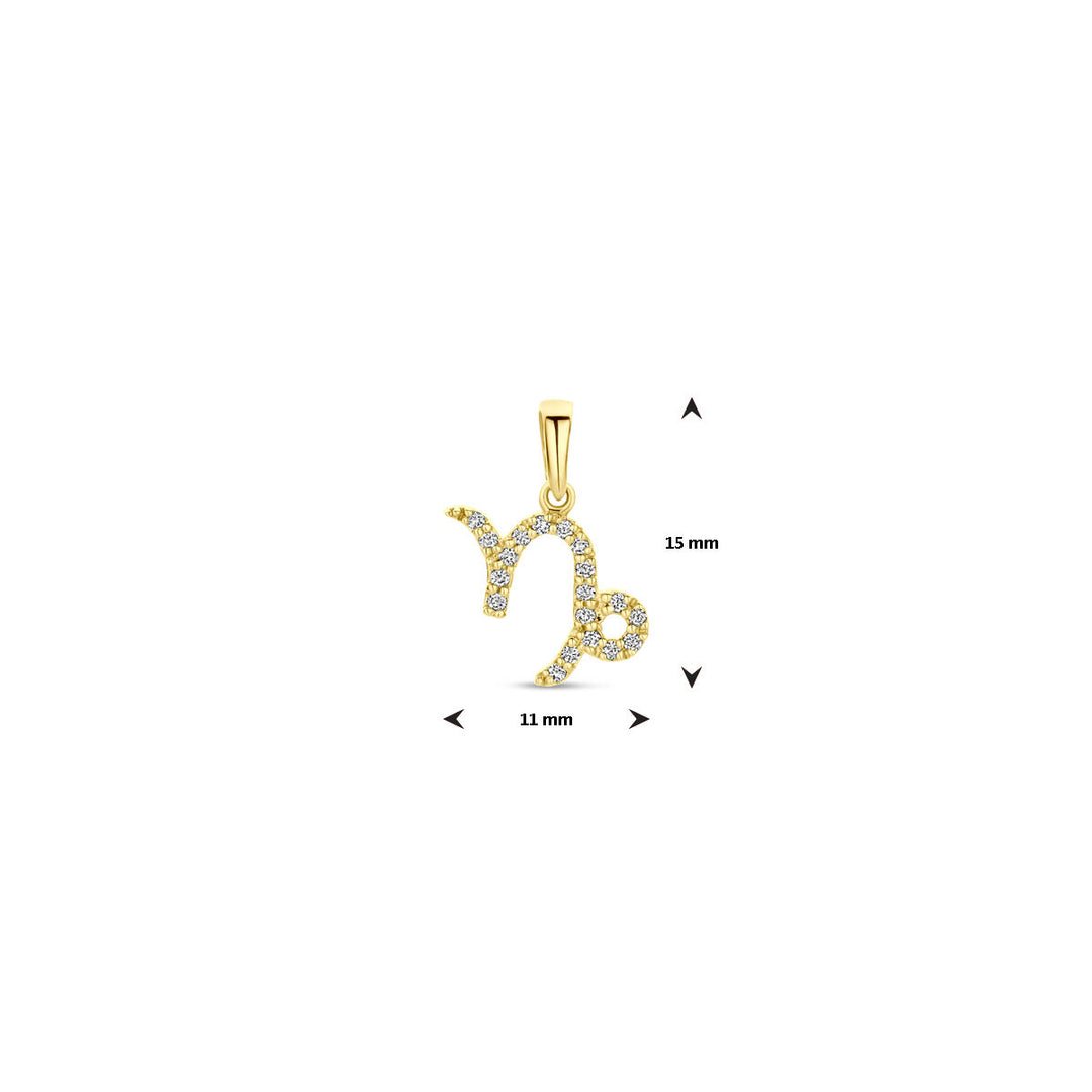 14k Geelgouden Hanger Sterrenbeeld Steenbok met Diamant H SI