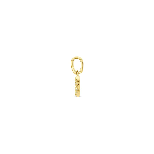 14k Geelgouden Hanger Sterrenbeeld Waterman met Diamant H SI