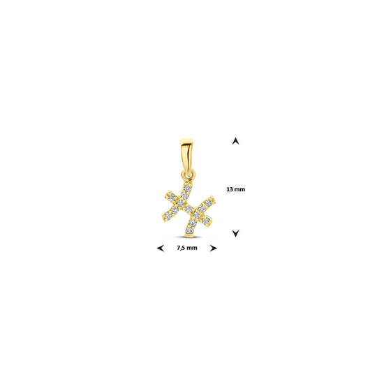 14k Geelgouden Hanger Sterrenbeeld Vissen met Diamant H SI