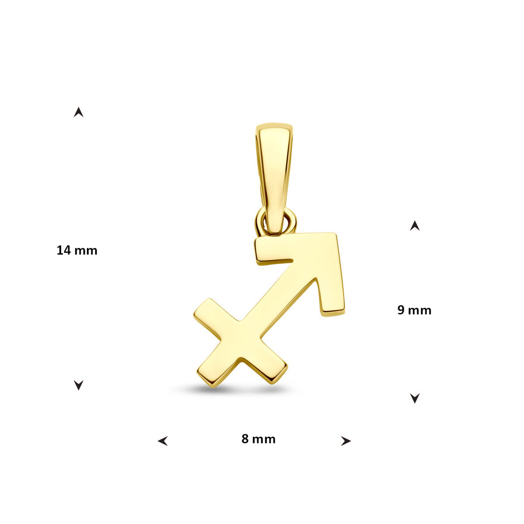 14k Geelgouden Hanger Sterrenbeeld Boogschutter – Per Stuk