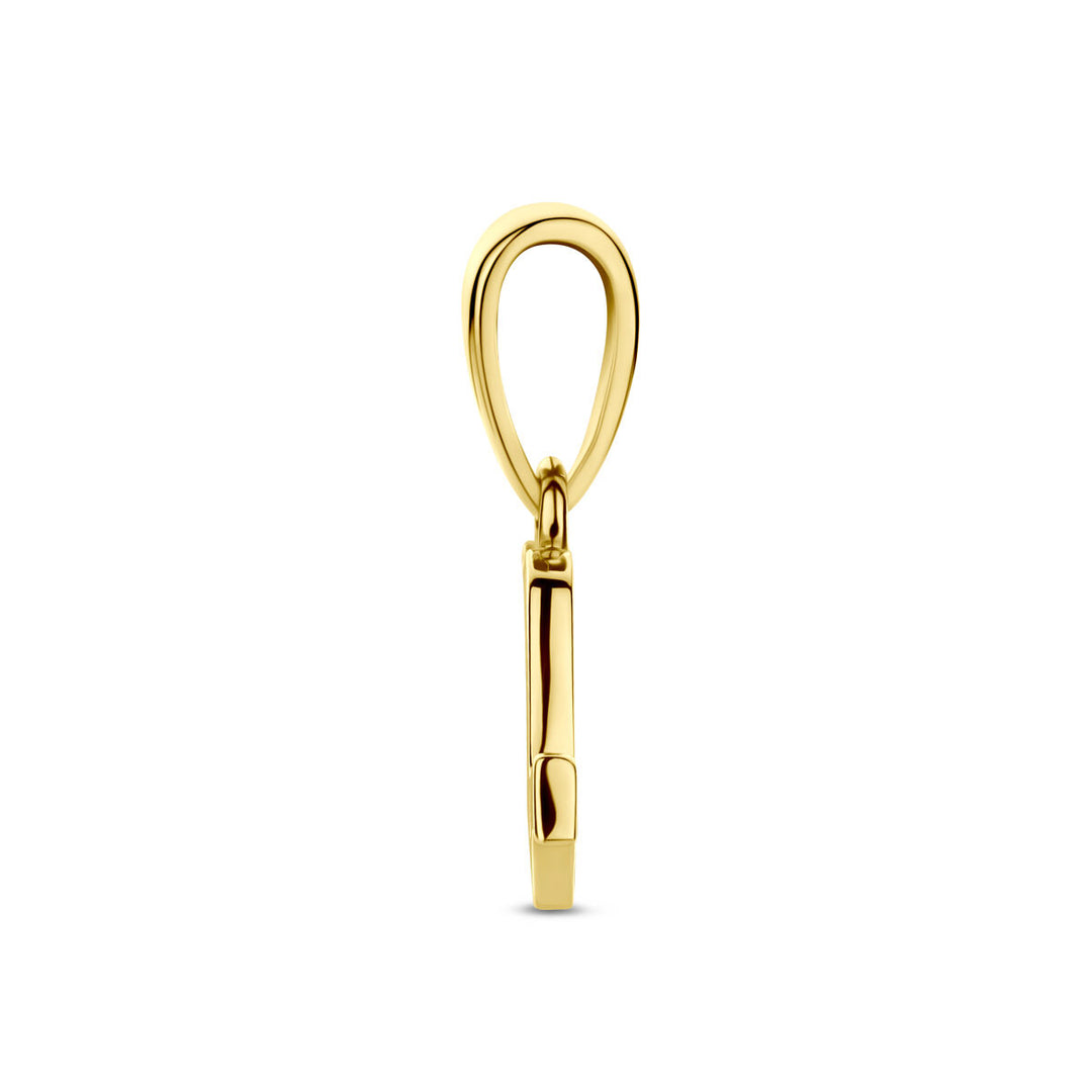 14k Geelgouden Hanger Sterrenbeeld Schorpioen – Per Stuk