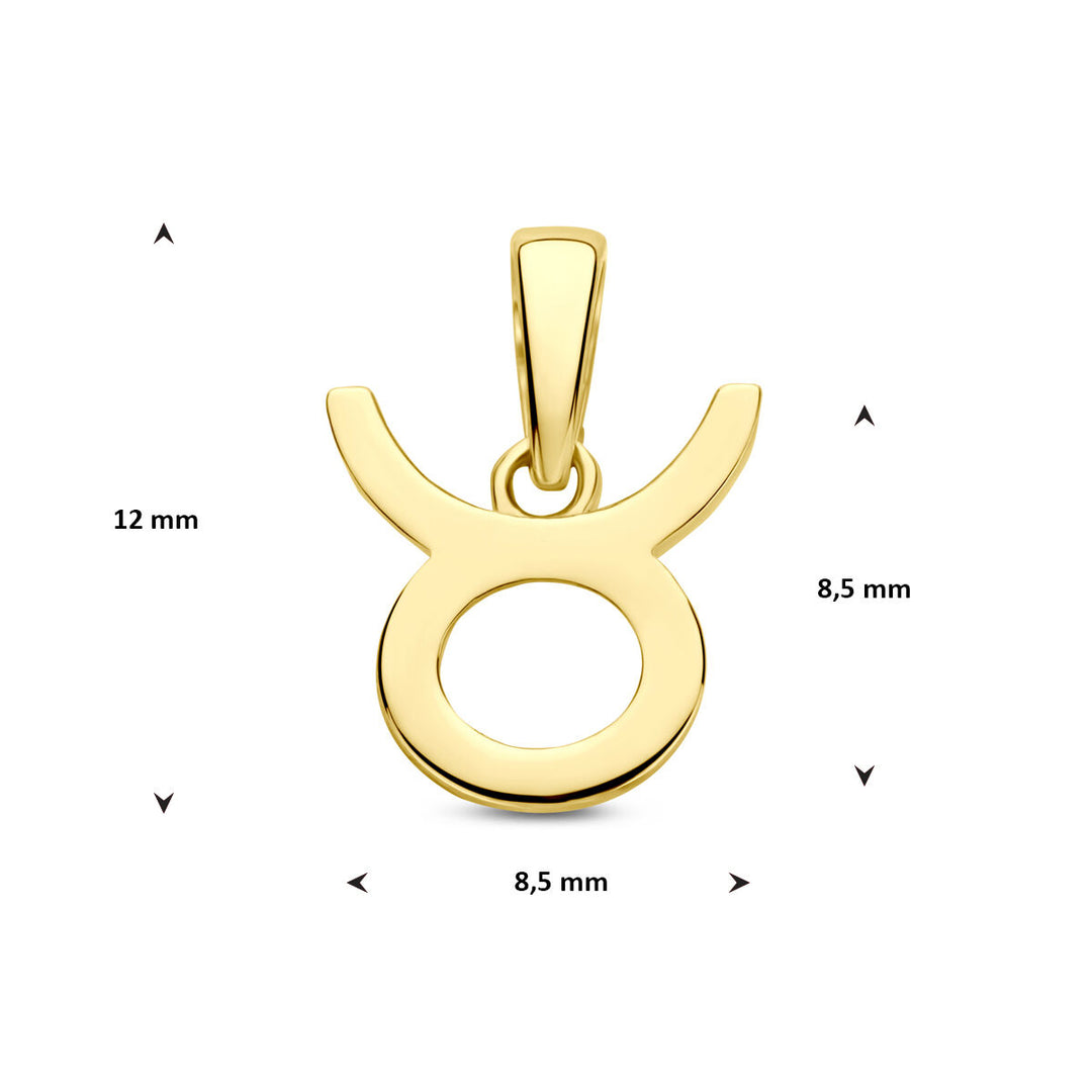 14k Geelgouden Hanger Sterrenbeeld Stier – Per Stuk