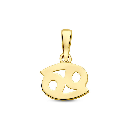 14k Geelgouden Hanger Sterrenbeeld Kreeft – Per Stuk