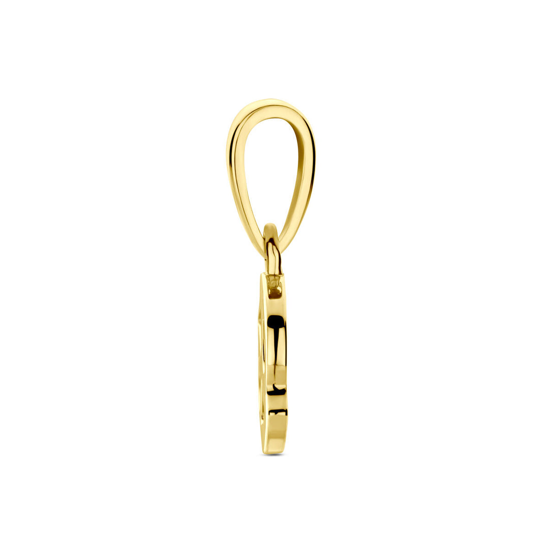 14k Geelgouden Hanger Sterrenbeeld Kreeft – Per Stuk