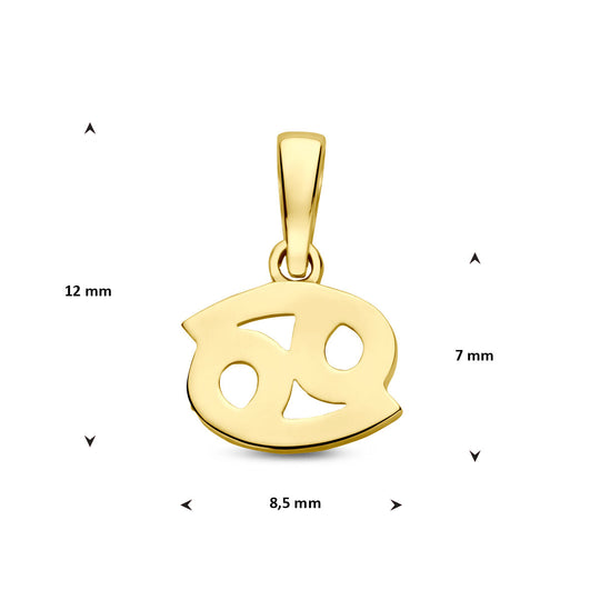 14k Geelgouden Hanger Sterrenbeeld Kreeft – Per Stuk