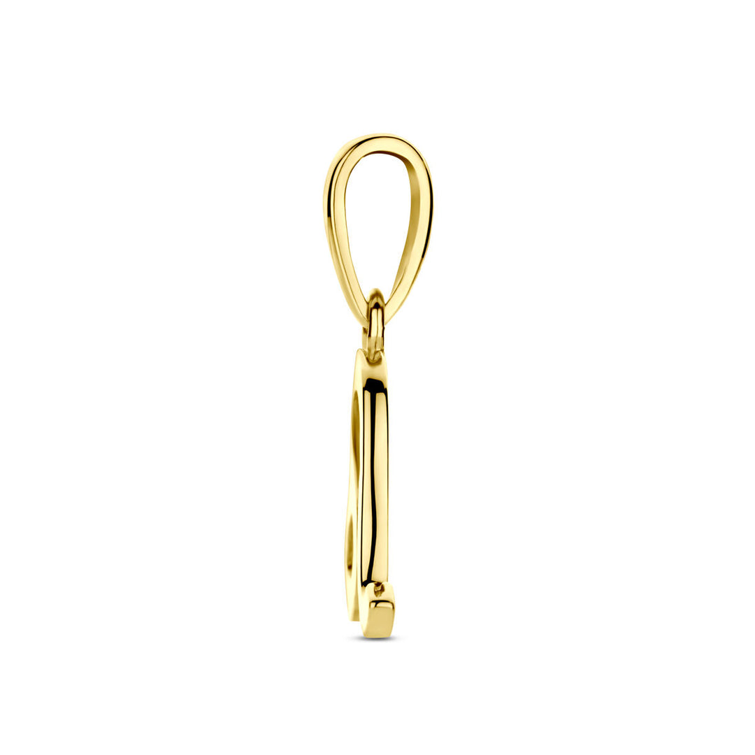 14k Geelgouden Hanger Sterrenbeeld Leeuw – Per Stuk