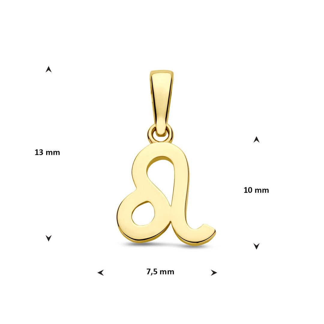 14k Geelgouden Hanger Sterrenbeeld Leeuw – Per Stuk