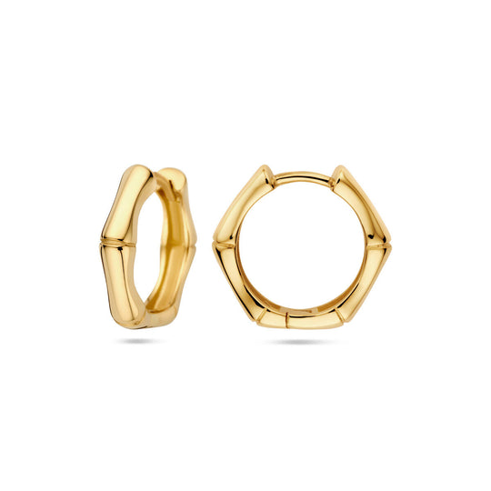 Verfijnde 14k Geelgouden Klapoorringen - Afmetingen 16x3.5mm