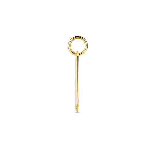 14k Geelgouden Graveerhanger – Persoonlijk en Tijdloos Sieraad met een Totale Hoogte van 24 mm