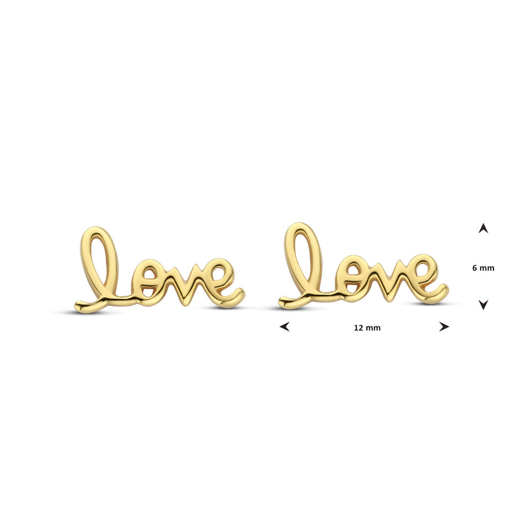 925 Zilveren Oorknoppen met 'Love' Tekst – Stijlvolle en Betekenisvolle Accessoire