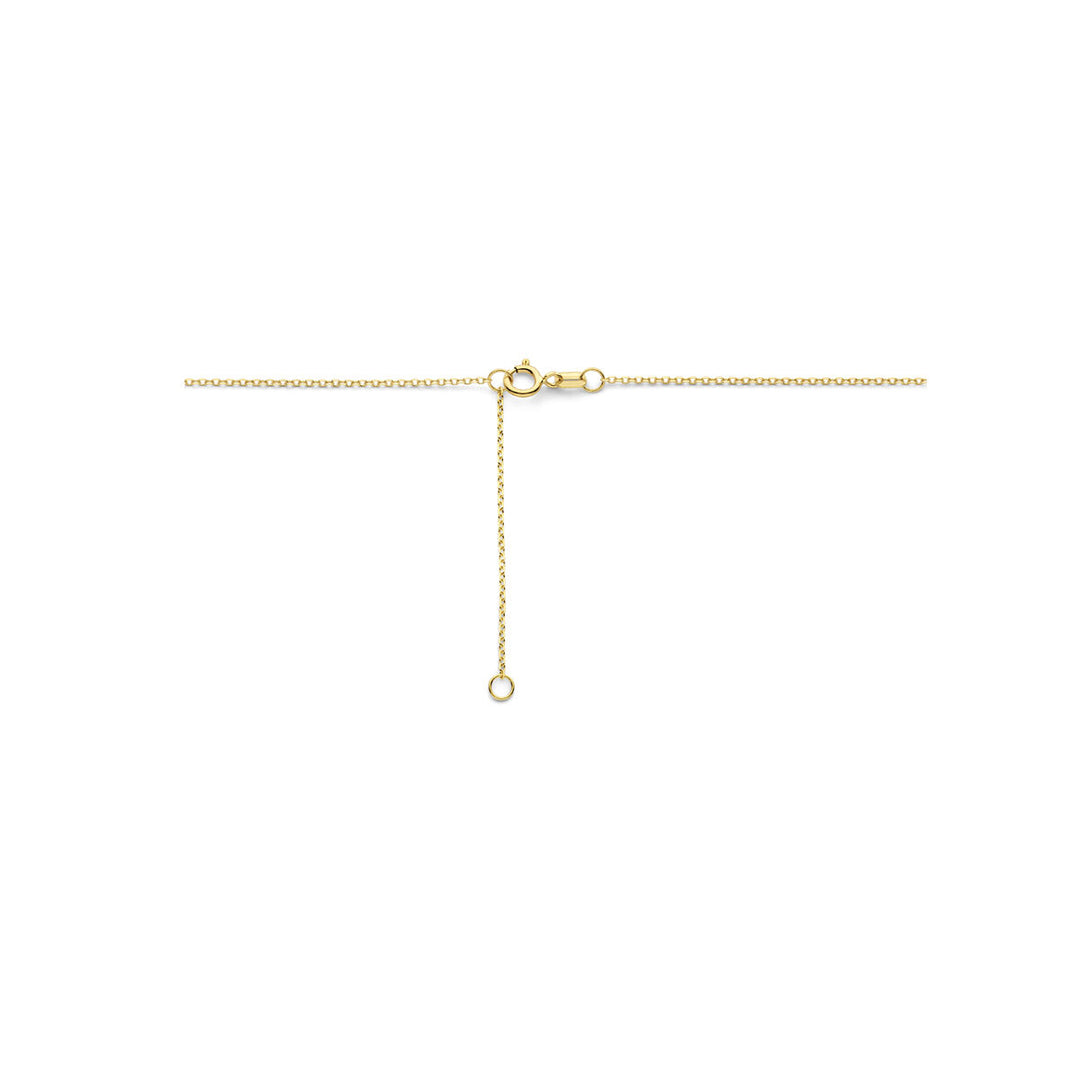 14K Geelgouden Collier met Roos - Verstelbare Lengte van 41-45 cm, 1 mm Schakelbreedte