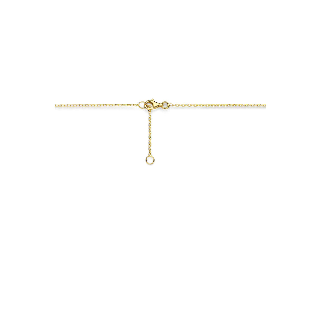 14k Geelgouden Collier met Hanger - Stijlvol en Tijdloos Ontwerp