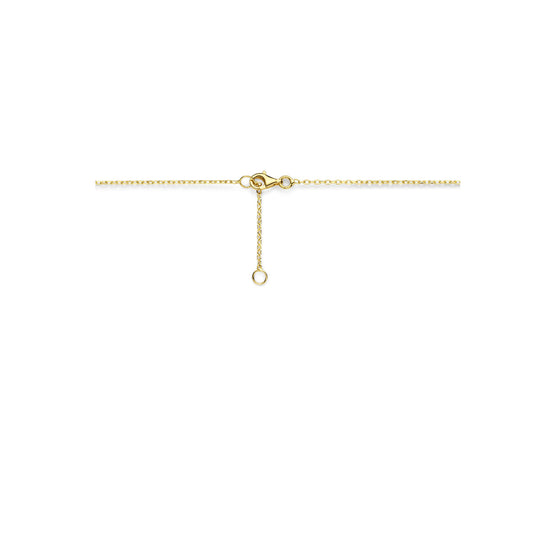 14k Geelgouden Collier met Hanger - Stijlvol en Tijdloos Ontwerp