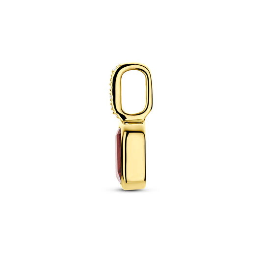 14k Geelgouden Hanger met Granaat en Diamant 0.012ct (Januari)