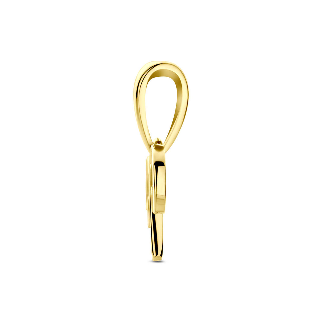 14k Geelgouden Hanger Sterrenbeeld Ram – Per Stuk
