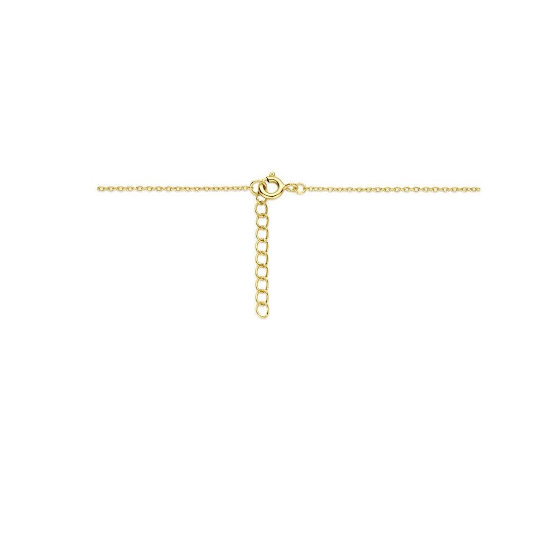 Verguld Zilveren Ketting met Hart Medaillon – Parelmoer – 42+3 cm