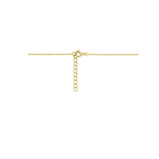 Verguld Zilveren Ketting met Hart Medaillon – Parelmoer – 42+3 cm