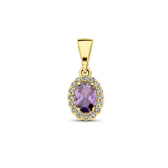 14K Geelgouden Hanger met Februari Geboortesteen Zirkonia – 16mm