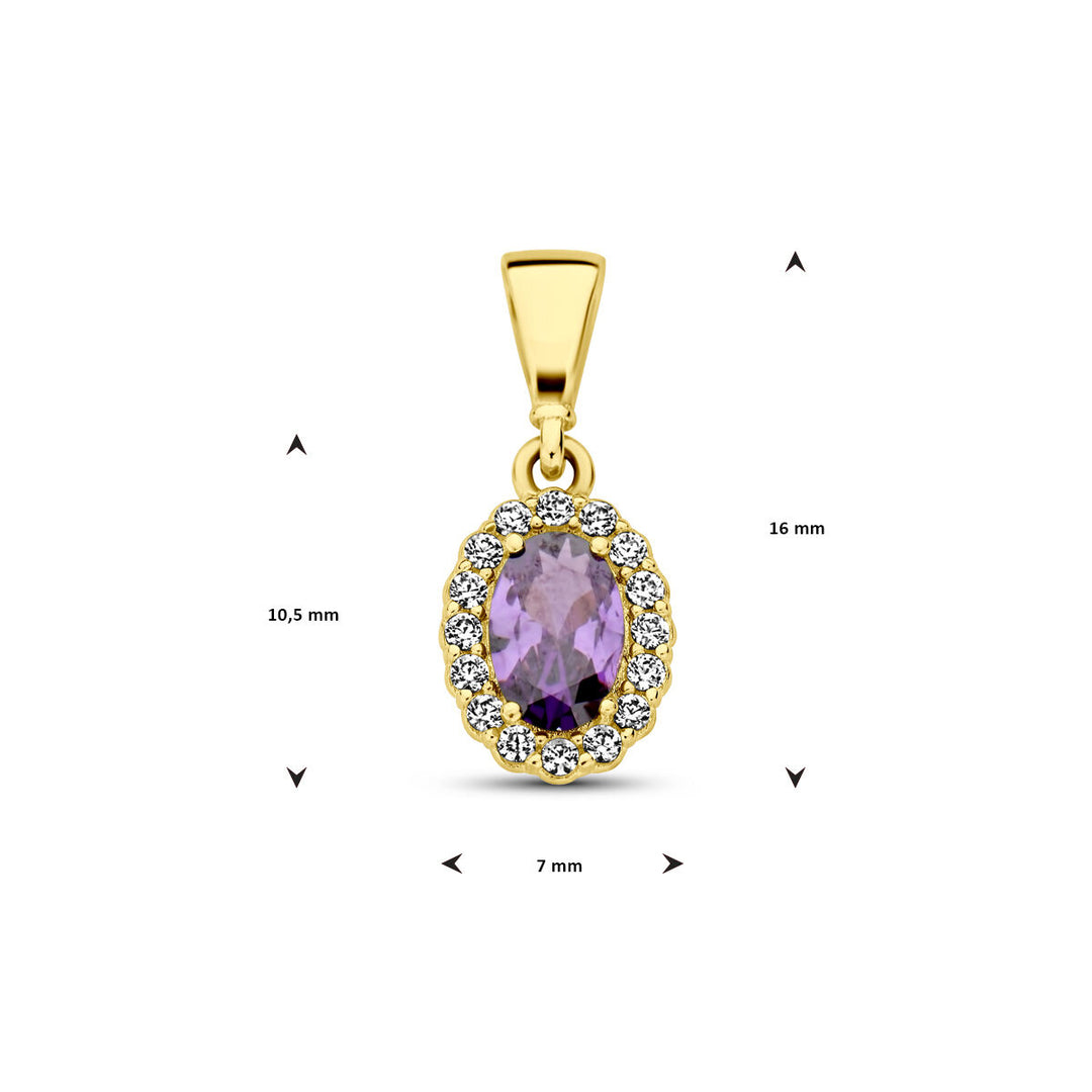 14K Geelgouden Hanger met Februari Geboortesteen Zirkonia – 16mm
