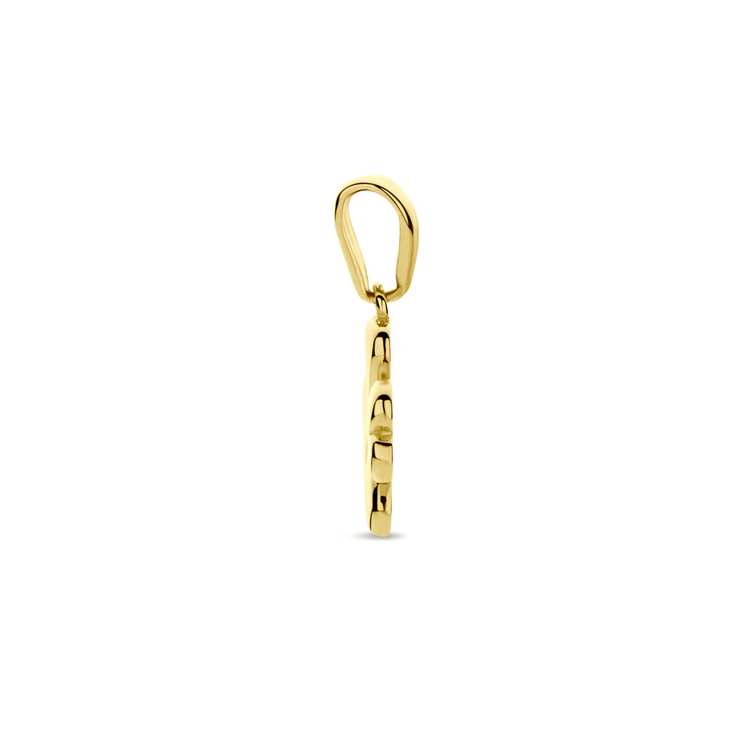14k Geelgouden Hanger met Klavertje – Een Elegante Geluksbrenger voor Elke Gelegenheid