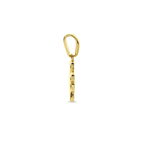 14k Geelgouden Hanger met Klavertje – Een Elegante Geluksbrenger voor Elke Gelegenheid